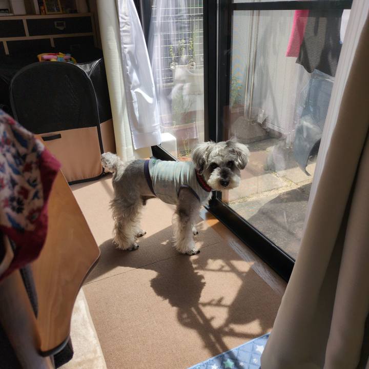 049f82a2 c8b4 4076 8856 f24f155a0f92 1750310388768