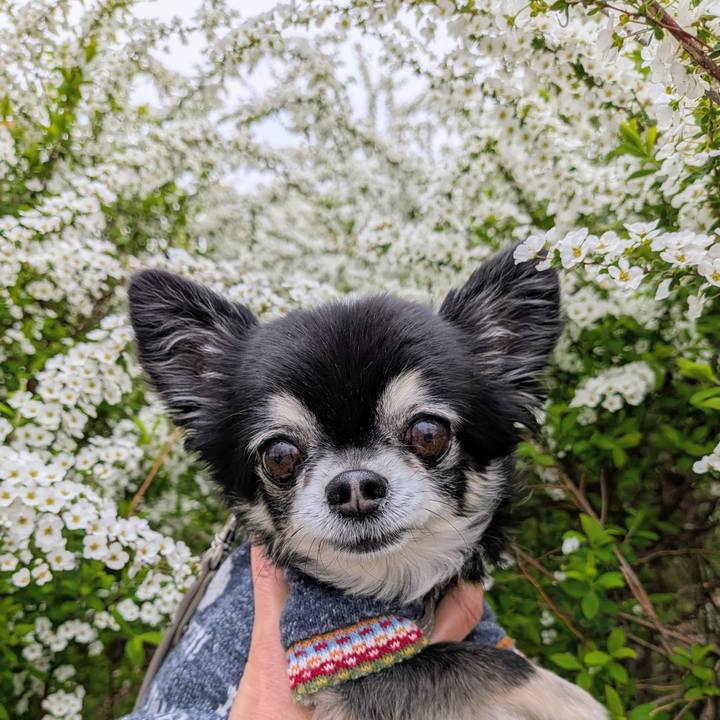 049f8752 e7a5 4fe9 98ad a94498b00280 1773989270670