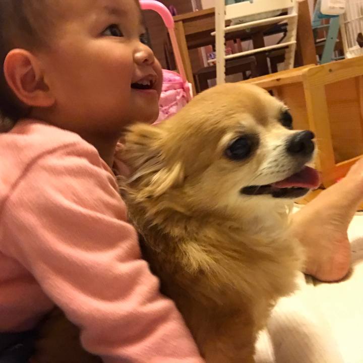 049f9df7 42fe 4d44 aa1c c2c977257ded 1554556283054