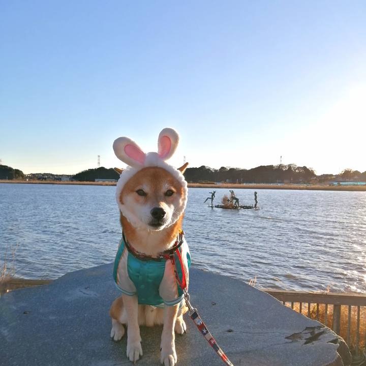 049fdf42 39c8 4fd7 abb7 fde220f6bb4d 1672738478221