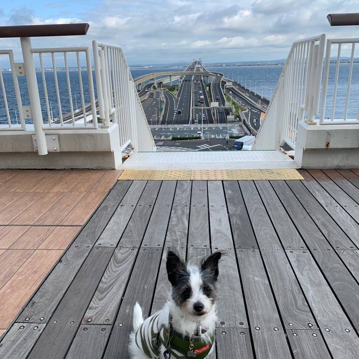 049fe175 4a18 47d8 8e2a eb41b424e5ad 1570342460740