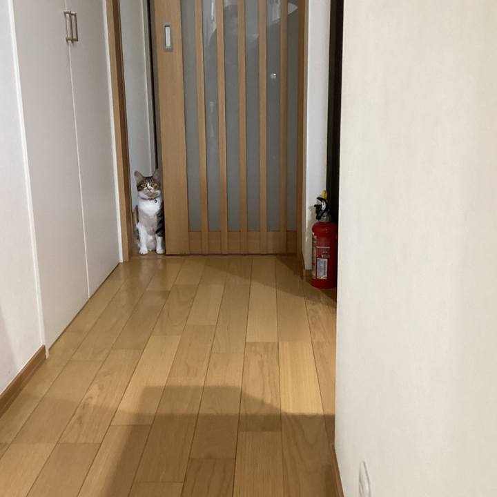 049fea25 6d9e 4e0d 8784 04a995104377 1685842002588