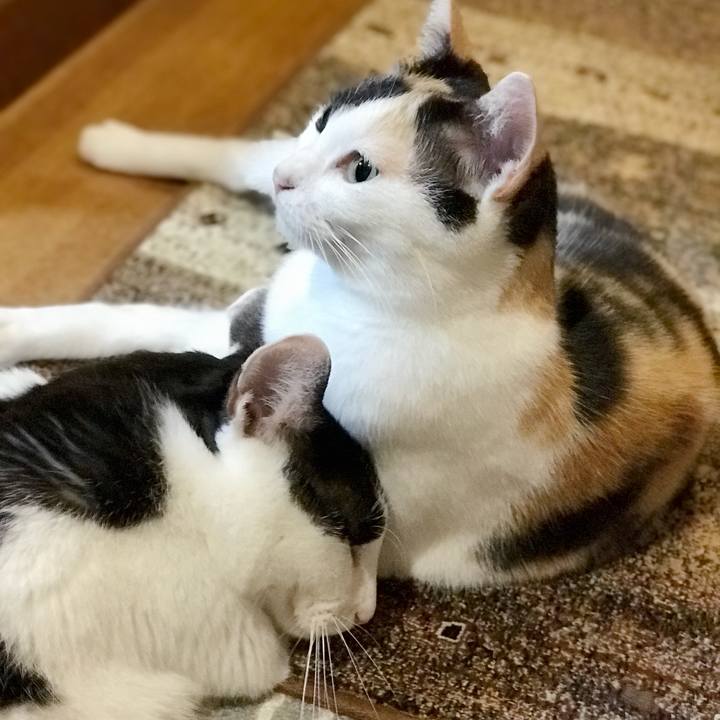 049feff0 9cae 42b4 a541 822af7883088 1537710980887