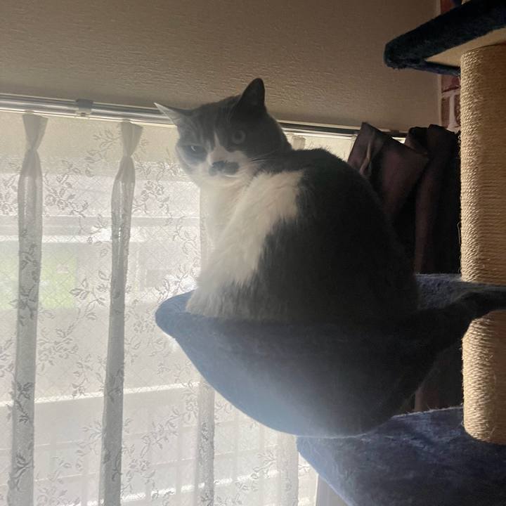 049ff82f 1252 4d36 bd29 99ab3d98ccc2 1684028663322