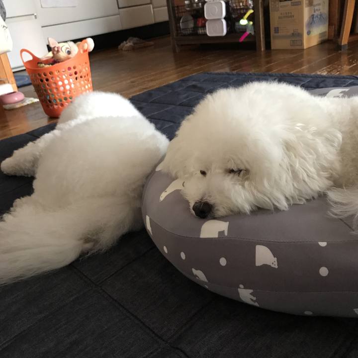 04a009b7 8c3c 4590 adb0 753c2d091fb7 1531558649614