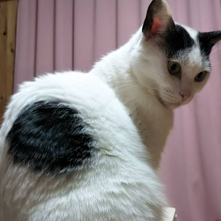 04a03503 3535 40a4 83d3 f44bc238f517 1576317427799