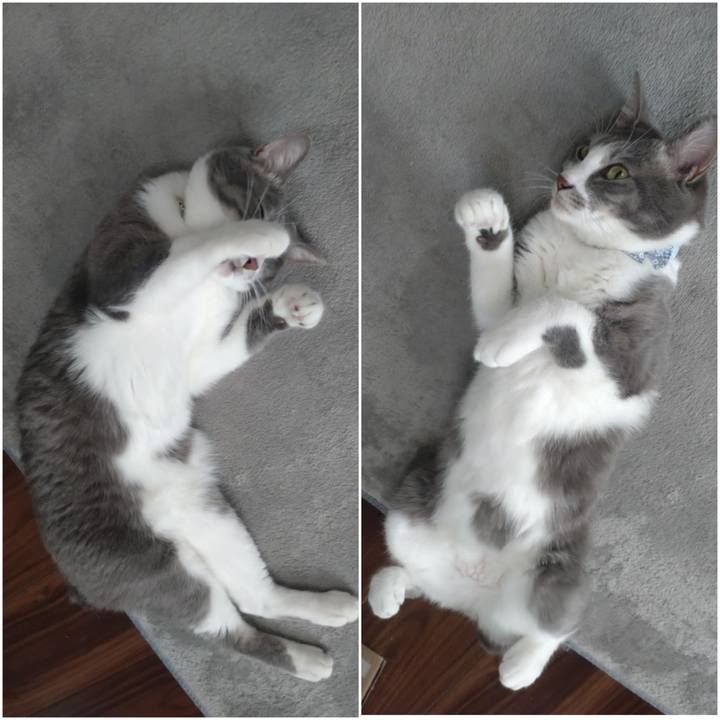 04a07e5d c6cc 408d a78d 8b7a9739844a 1737094605492