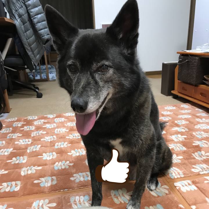 04a09360 7edf 425b a0ad 3b5657dac0df 1516103854539