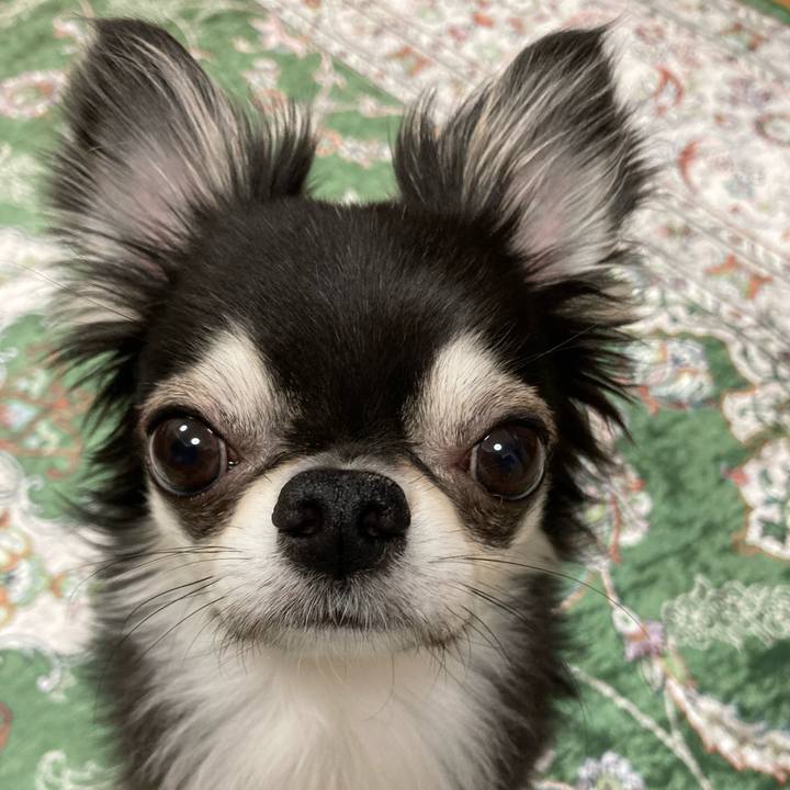 04a0a152 c28f 4f2a a508 db41ed3b08ab 1650806687096