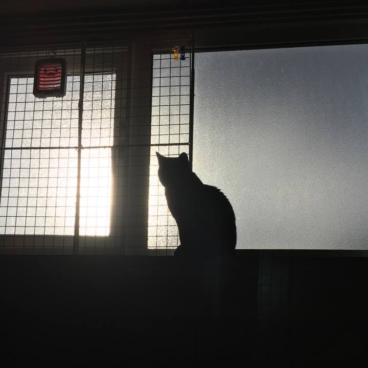 04a0a83a 2737 45f1 ab5e 61e0a6ed8c0b 1515317389071