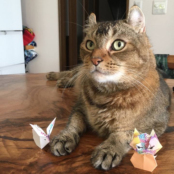 04a0a9ea 0f87 42b7 853c 6bd4cd5f1b29 1600165191077