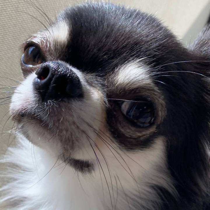 04a0e0d6 855d 4e48 8fed df07b4032cac 1622291781812