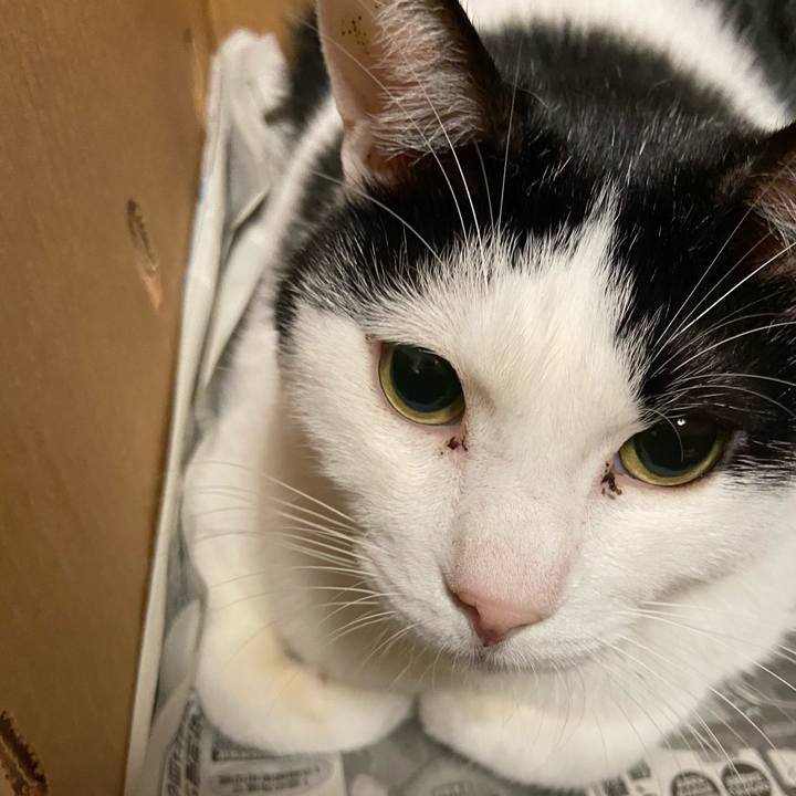 04a0e9dd 5e91 4d72 826b d25403092f5a 1602242130582