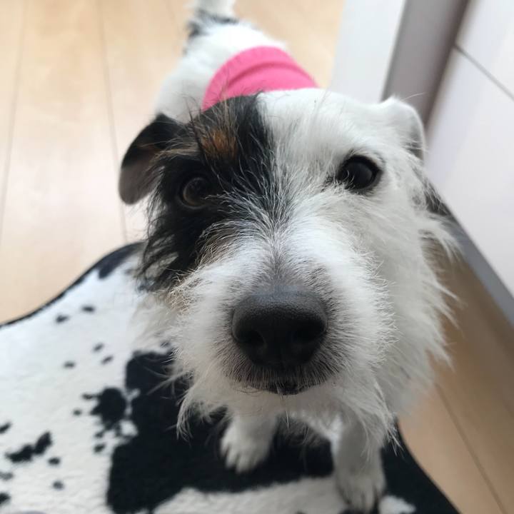 04a111d7 ceed 481d 95b8 b555fbd43d32 1519083432178