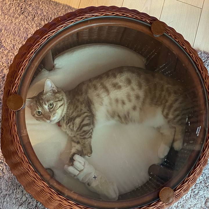 04a13975 8108 4650 91bb e038b50441c0 1634428659498