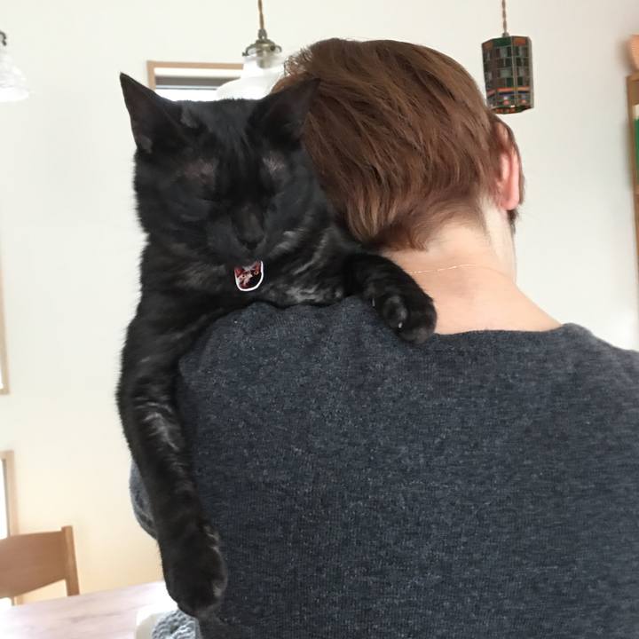 04a15b27 814b 421c a0c2 6b9e12bb6217 1542341075843