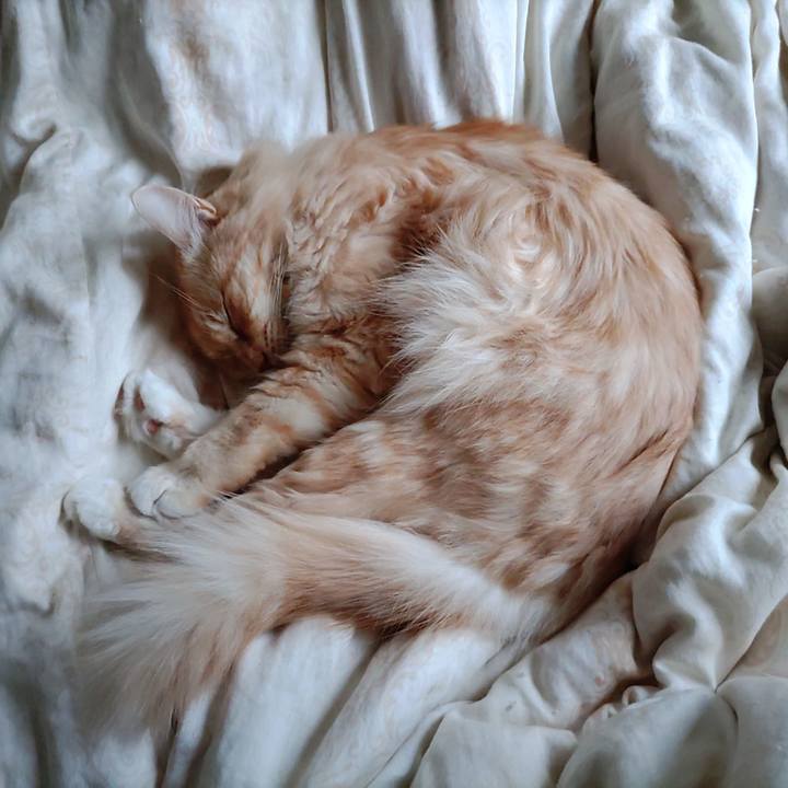 04a15f53 cd42 473a 9273 a2f36ca37719 1696467099326