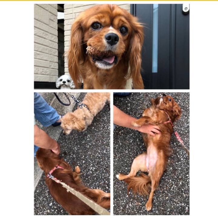 04a18be3 5469 4865 99d1 7e86cee5518b 1561811029152