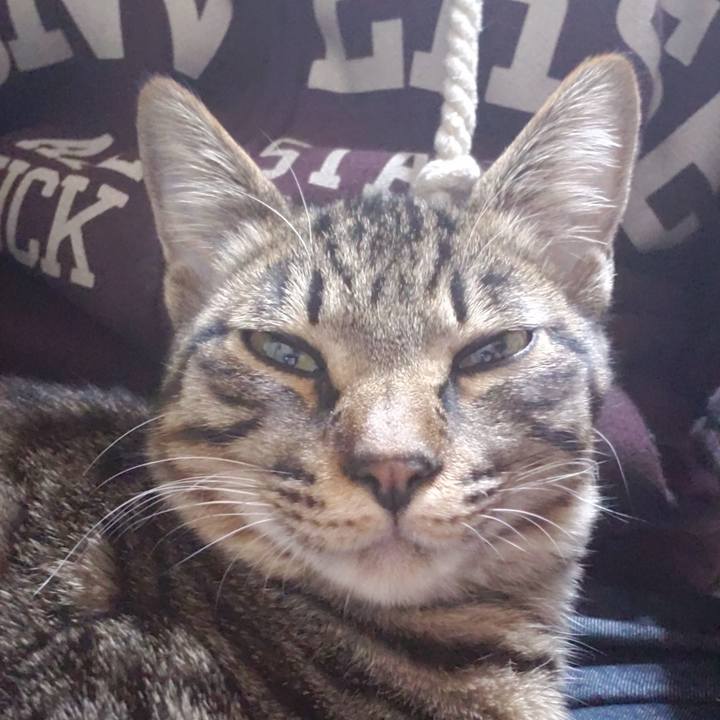 04a18f01 d57e 41a7 bfa7 5542e9107989 1544882781579