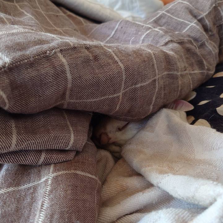 04a18f8a 20ca 4e68 ac3d 5bf8e2bee6e2 1772954813958