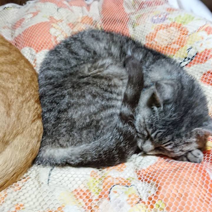 04a1925d ea7c 4f0c 9132 bacc3ad73a59 1570538160276