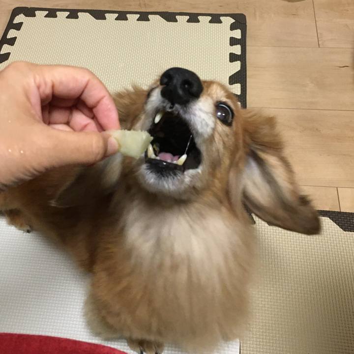 04a1c97d 3332 4a47 b1ed 36b258ab51c6 1637068154700