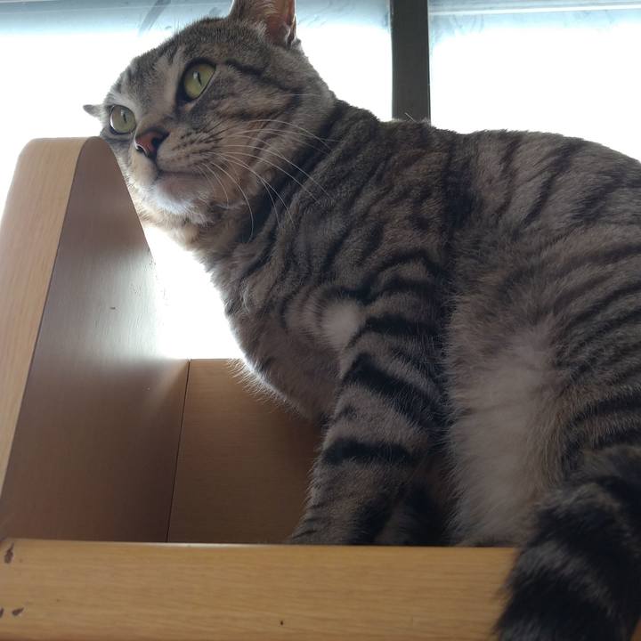 04a201aa e3ba 4f1c 9ff0 410e9077b281 1614090492838