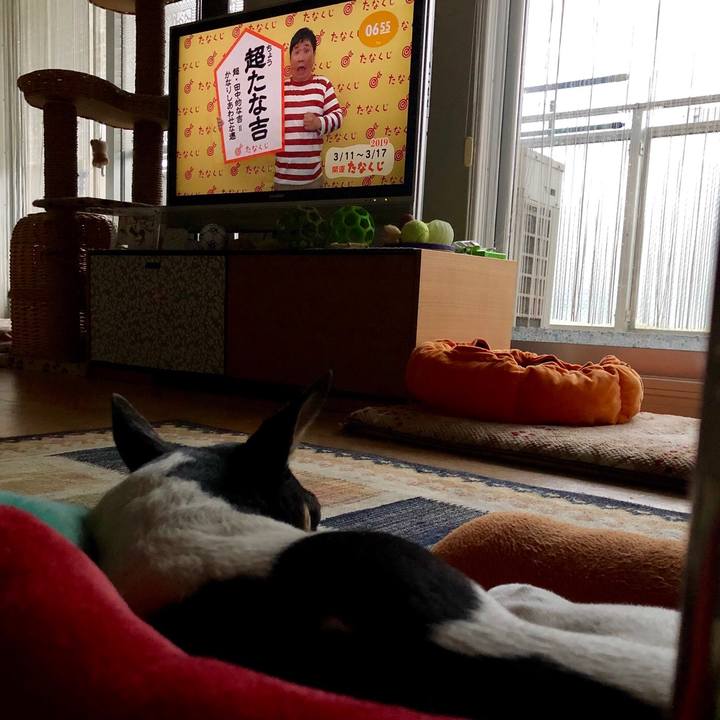 04a20a04 2175 441d 97b5 ff677163070f 1552255626258