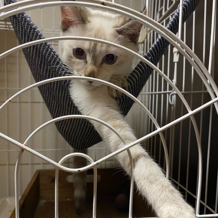 04a223a6 2324 4150 9ad1 132e841d9f84 1633598682196