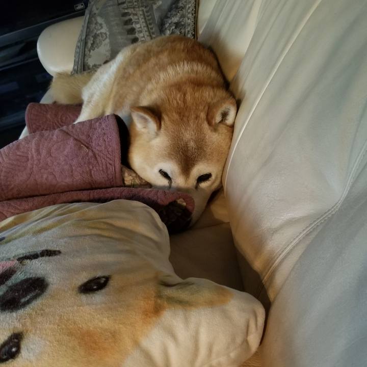 04a256dc 106a 4914 a228 90051cbf2b58 1718961837034