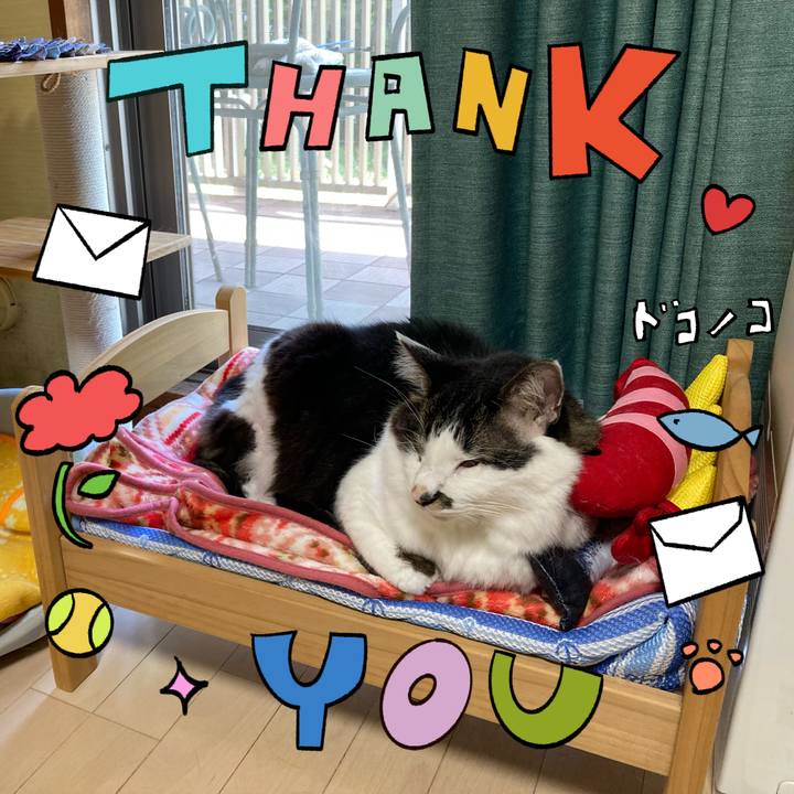 04a26fa6 e8f8 4ef1 ab5b 59af362fc740 1715391567355