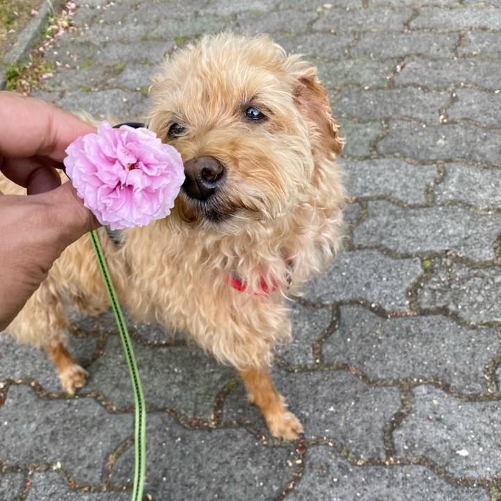 04a271c0 486d 493c a33b 0e872009ec96 1685100635280