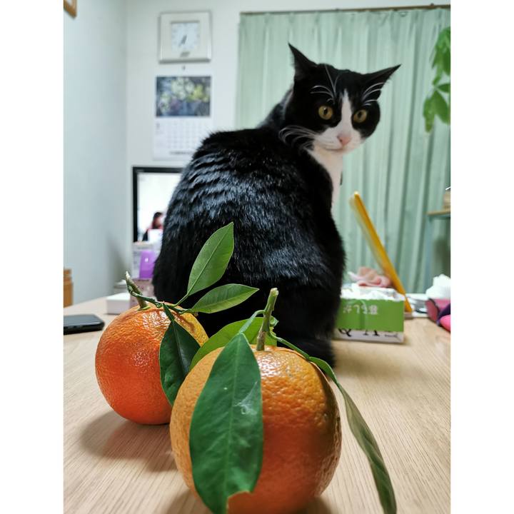 04a27ef9 60cc 4169 bd8e e136cbbec2b2 1677914693380