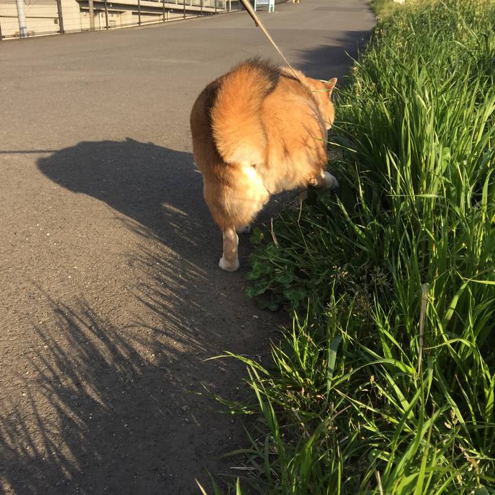 04a2dcab 0fc9 4d26 b124 6268c77a13c8 1554501491638