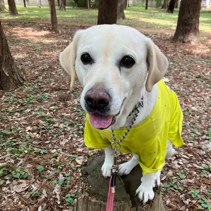 04a2ef62 147d 4a91 9fdd bcb801bd9126 1685082514766