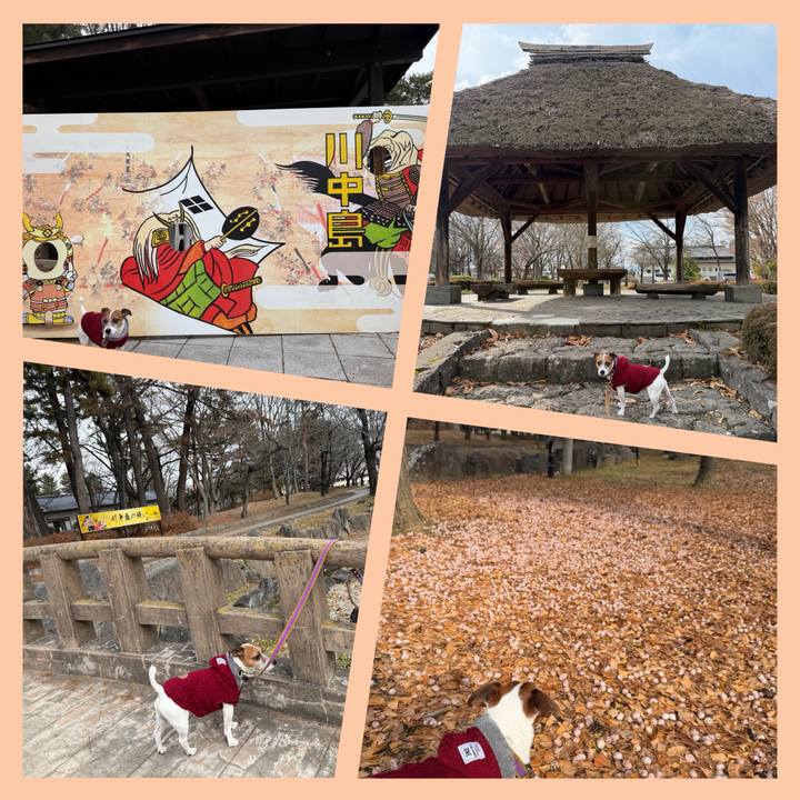 04a3110e d0e9 4851 b463 ce2ce7e6786b 1767610992543