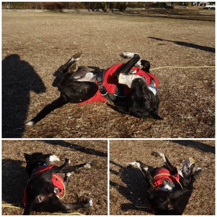 04a313a4 1556 4b3e af41 8401a5d051c7 1646010857587