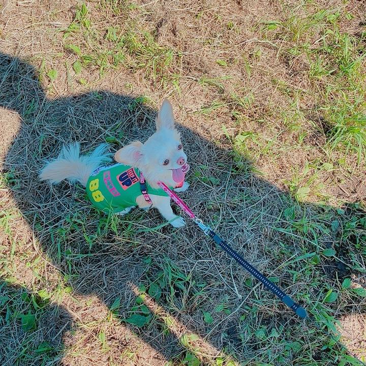 04a32428 b359 479c 9d12 d65d014d4aad 1632131871728