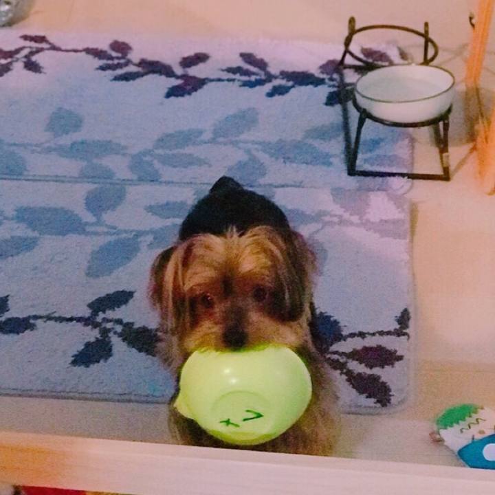 04a352b7 276f 47ac 81da 7a4552853638 1529833475958