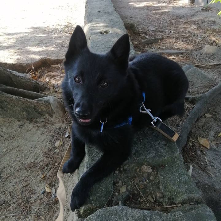 04a35b6c deec 4ef7 9773 b0b5a637ba5f 1633219444122