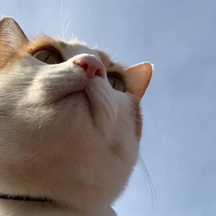 04a3813f fe06 4fae 8235 0d51e01d4f24 1578365408319