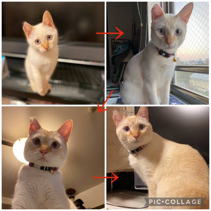 04a38759 70f6 4744 8926 c15ec717387c 1665733431186