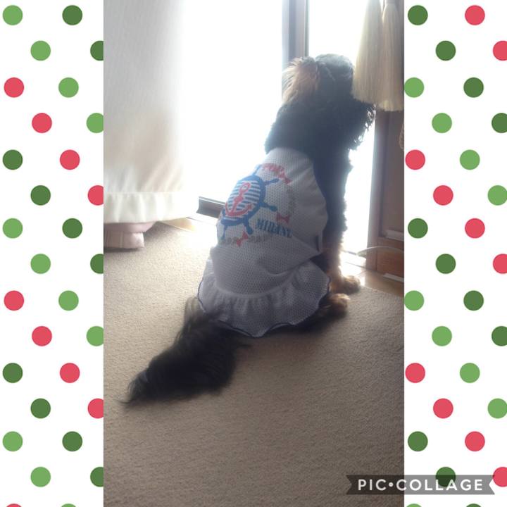 04a39e1c c5ba 452b 9f31 b72adcdc4440 1544356478747