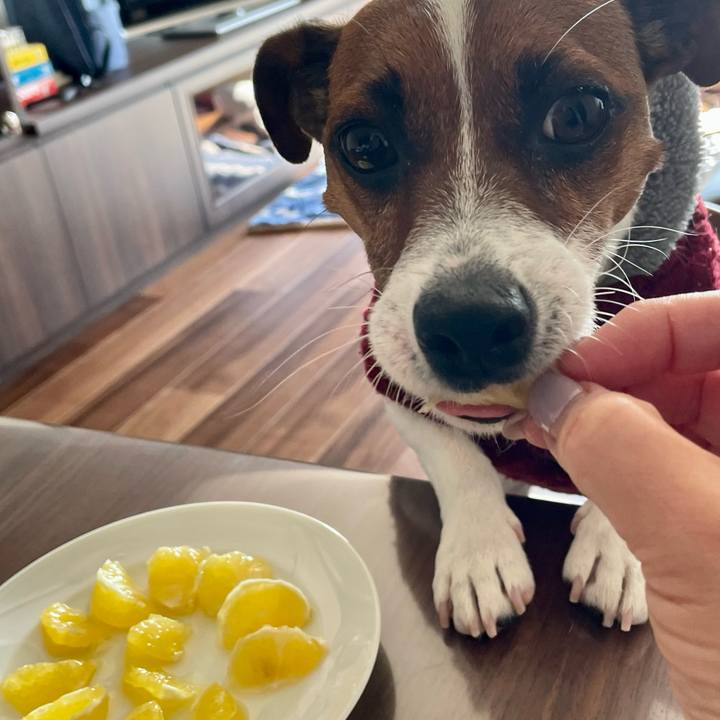 04a39e44 5b51 4c6d bbb1 be5cb90d2c44 1648858320522