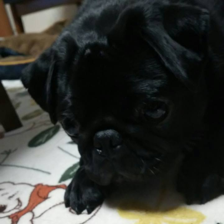 04a3afb1 2c5f 4a3f 88d5 ecde079d7b95 1528470685935