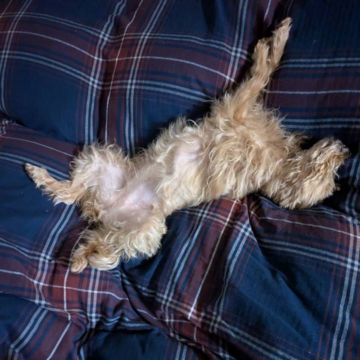 04a3ef33 e8bf 4168 97c5 21538f137903 1732538873256