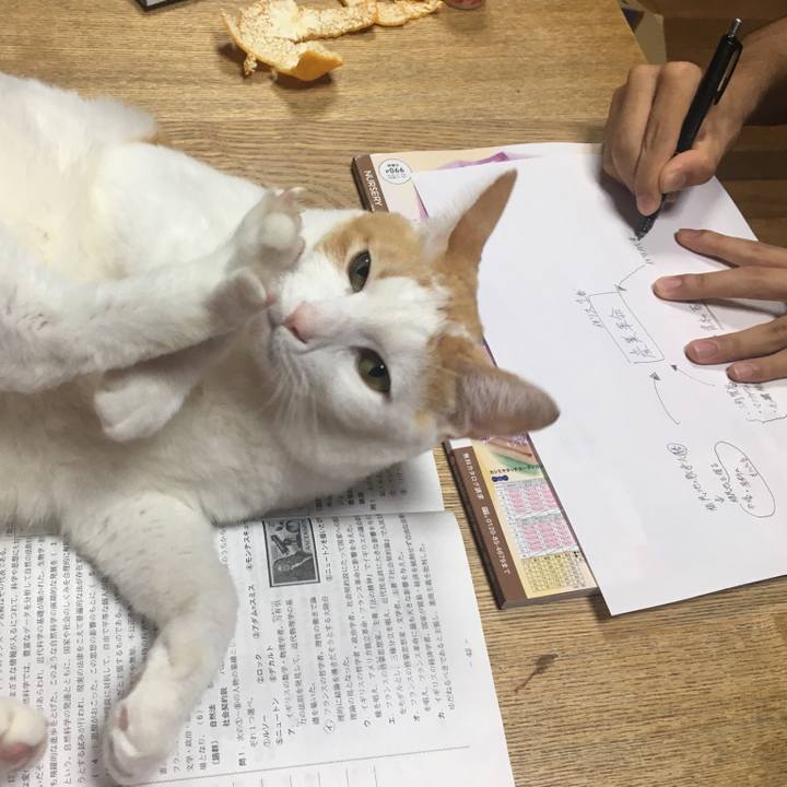 04a3f98d a376 4399 a14d 5fa7d8465513 1510675093513