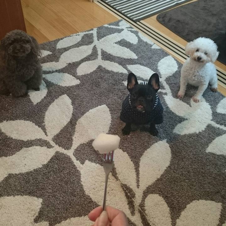 04a42f02 246b 49c8 bdca 7f5df5bd80f9 1508540441358