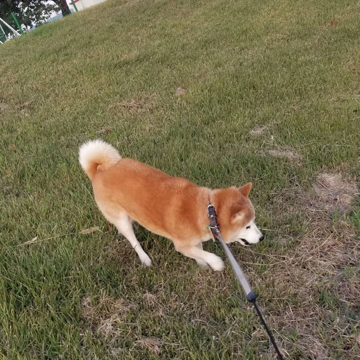 04a449b1 2544 4683 89bf e798841270af 1697615277596