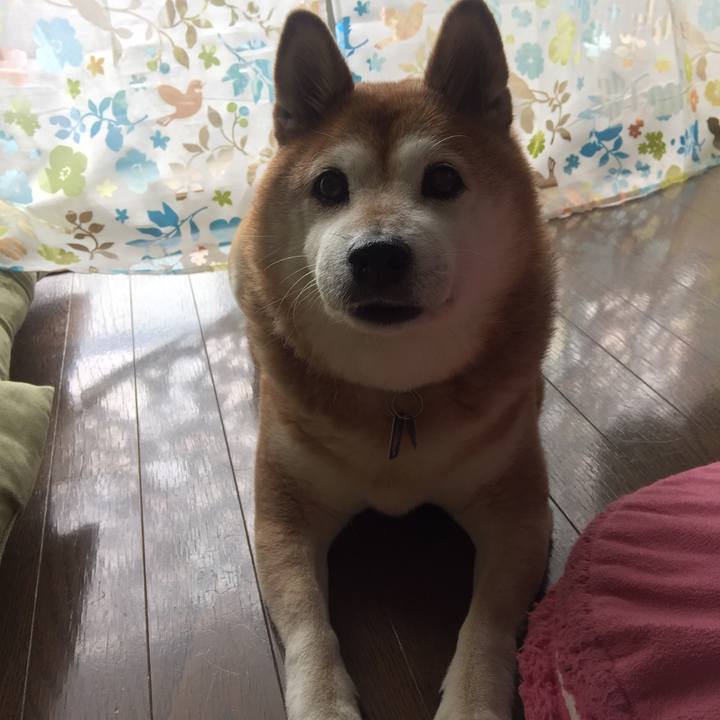 04a470b2 98aa 4af7 a4c7 a33507ef872f 1541293698295